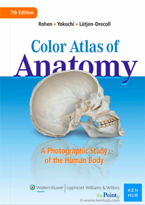 Color Atlas of Anatomy - Front Cover