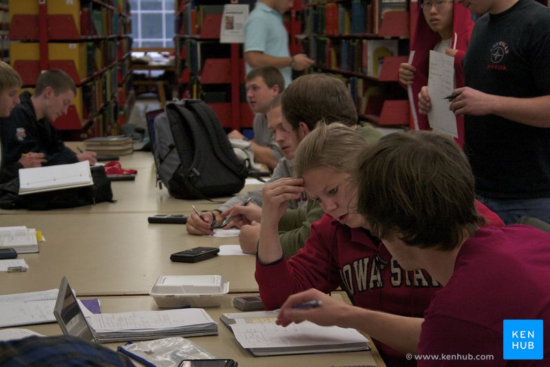 Study group