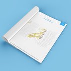 Apprenez tout sur le plexus brachial grâce à nos quiz et schéma à compléter