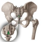 Sacral hiatus