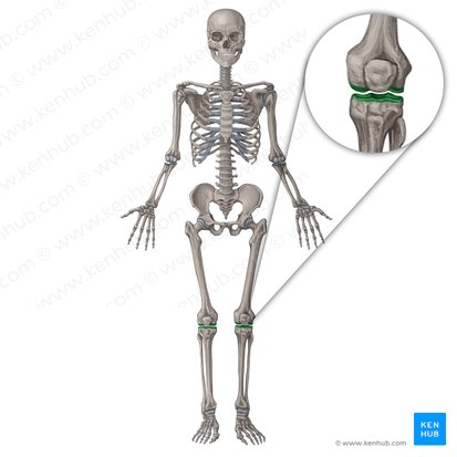 Rodilla – Linares Con Isidro