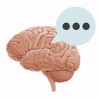 Cognition and language