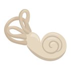 Sensações vestibulares