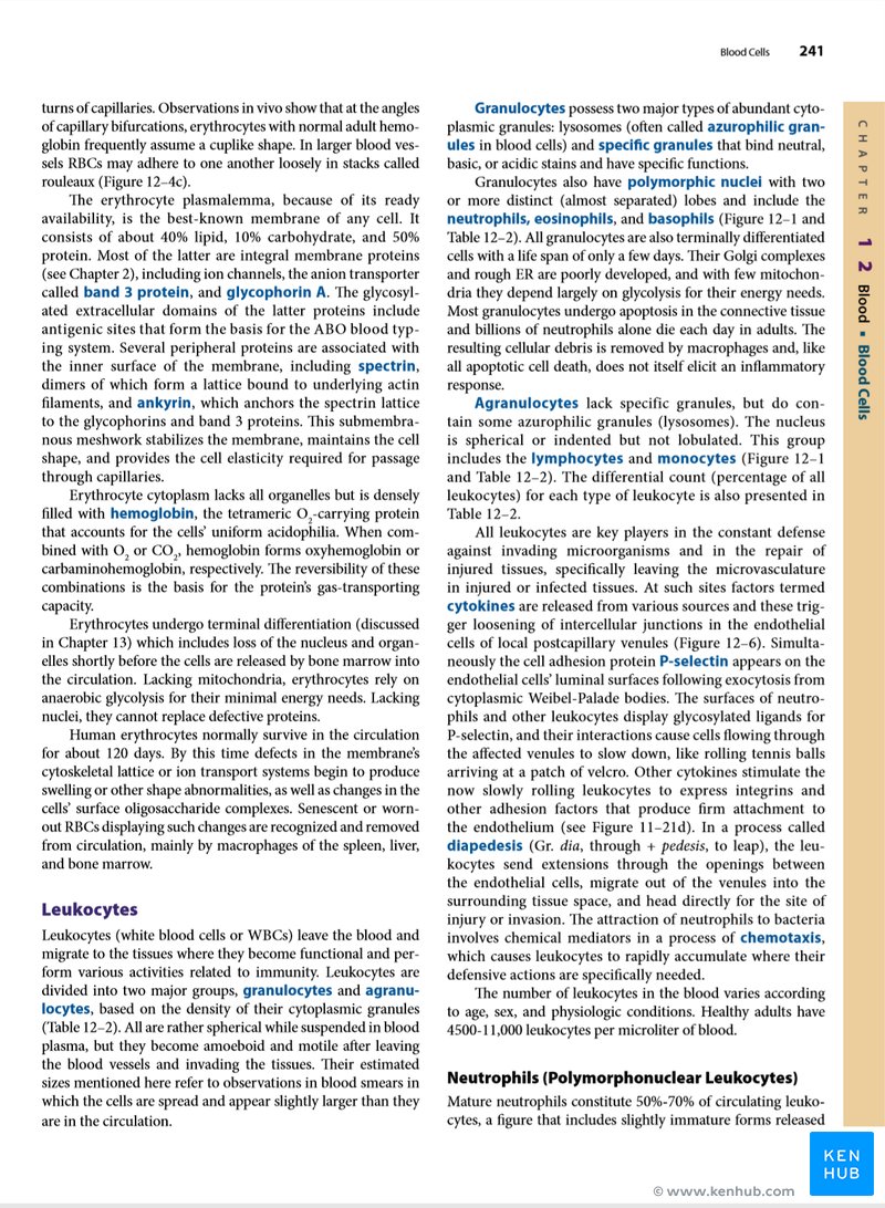 Junqueira's Basic Histology - Sample Page