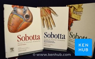 Sobotta Atlas der Anatomie des Menschen
