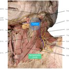 Clinical case: Horner