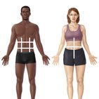 Regions of the abdomen