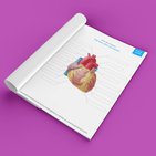 Anatomía del corazón: Aprende con diagramas y cuestionarios