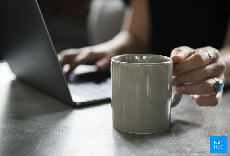 Confira os programas e as companhias de venda online