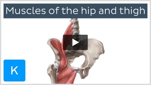 Iliotibial tract (IT band): Anatomy, origin, insertion