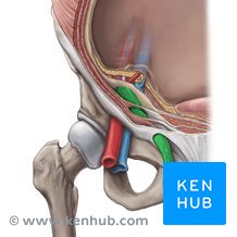 Spermatozoidlarni otish texnikasi