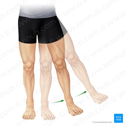 Abduction of thigh (Abductio femoris); Image: Paul Kim