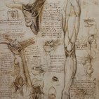 Dissections au 21e siècle : désuètes ou utiles pour l'apprentissage de l'anatomie ?