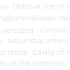 Anatomical terminology for healthcare professionals | Episode 3 | Skeletal system