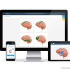 Avantages de Kenhub : Comment tirer le meilleur parti de nos outils d’anatomie