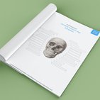 Arbeitsblatt: Schädel beschriften