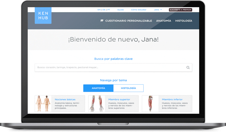 Revisa Y Aprende Anatomía Humana De Forma Inteligente Kenhub