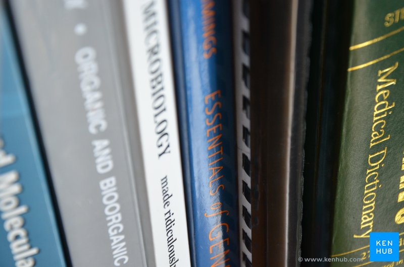 Anatomy Learning Resources How To Use Them Kenhub