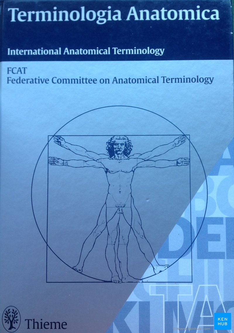 Terminologia Anatomica 1998