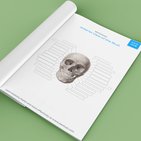 Learn skull anatomy with skull bones quizzes and diagrams