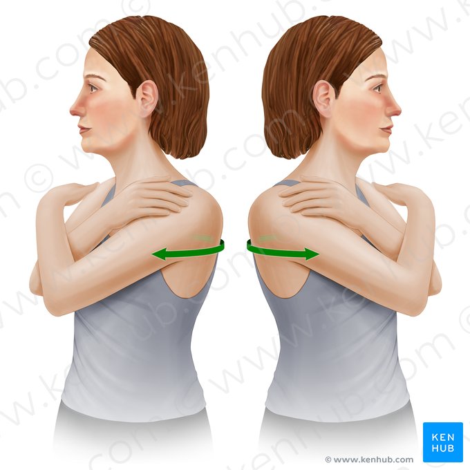 Rotação da coluna vertebral (Rotatio columnae vertebralis); Imagem: Paul Kim