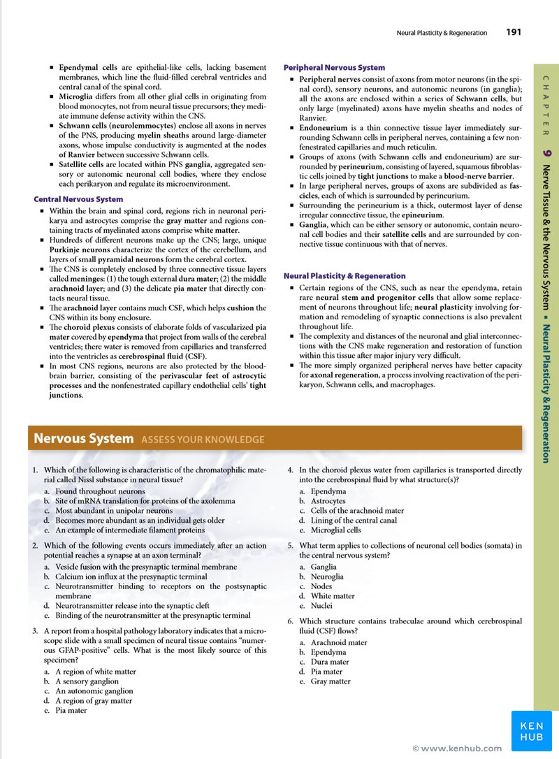 Junqueira's Basic Histology - Summary Sample