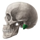 Mastoid process