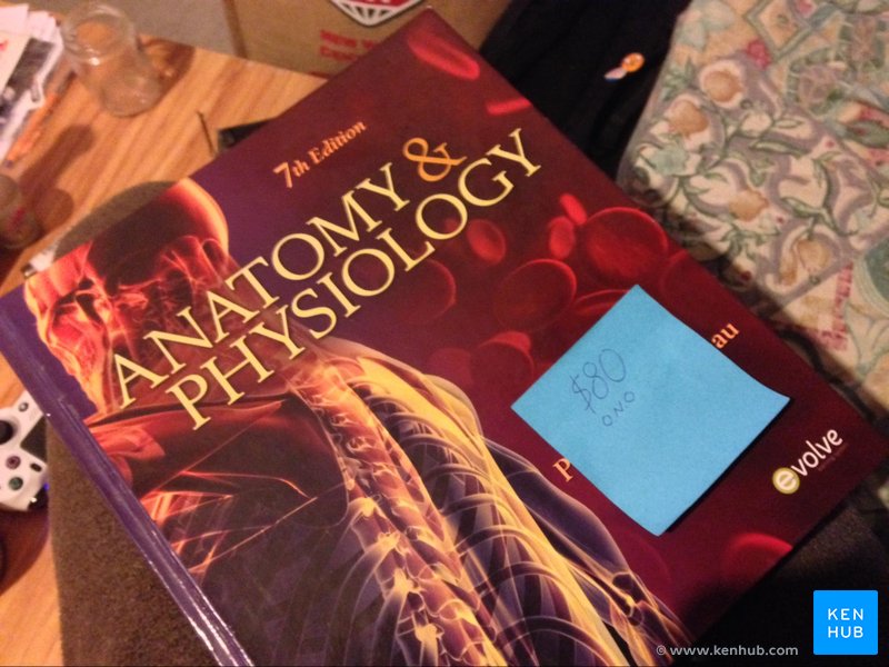 Anatomy & Physiology textbook