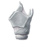 Schildknorpel (Cartilago thyroidea)