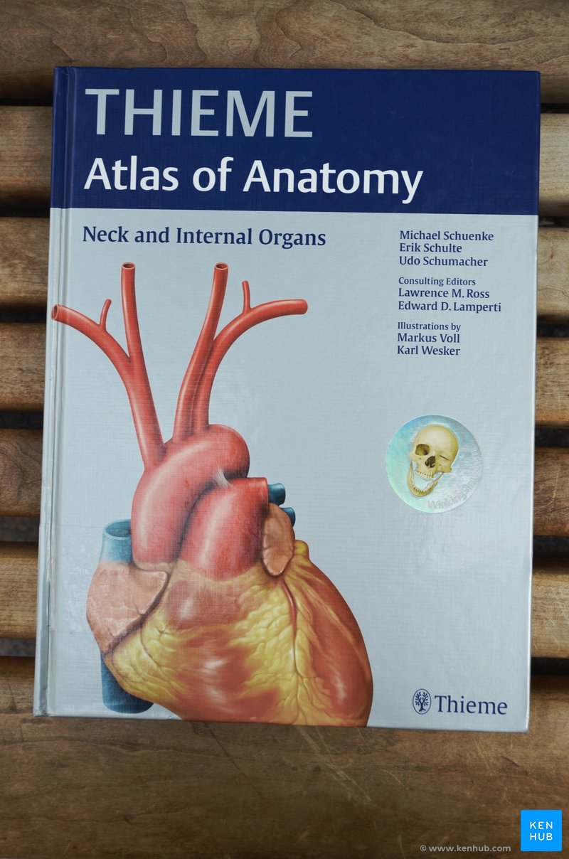 THIEME Atlas of Anatomy: Review | Kenhub