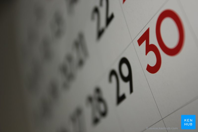 Calendario