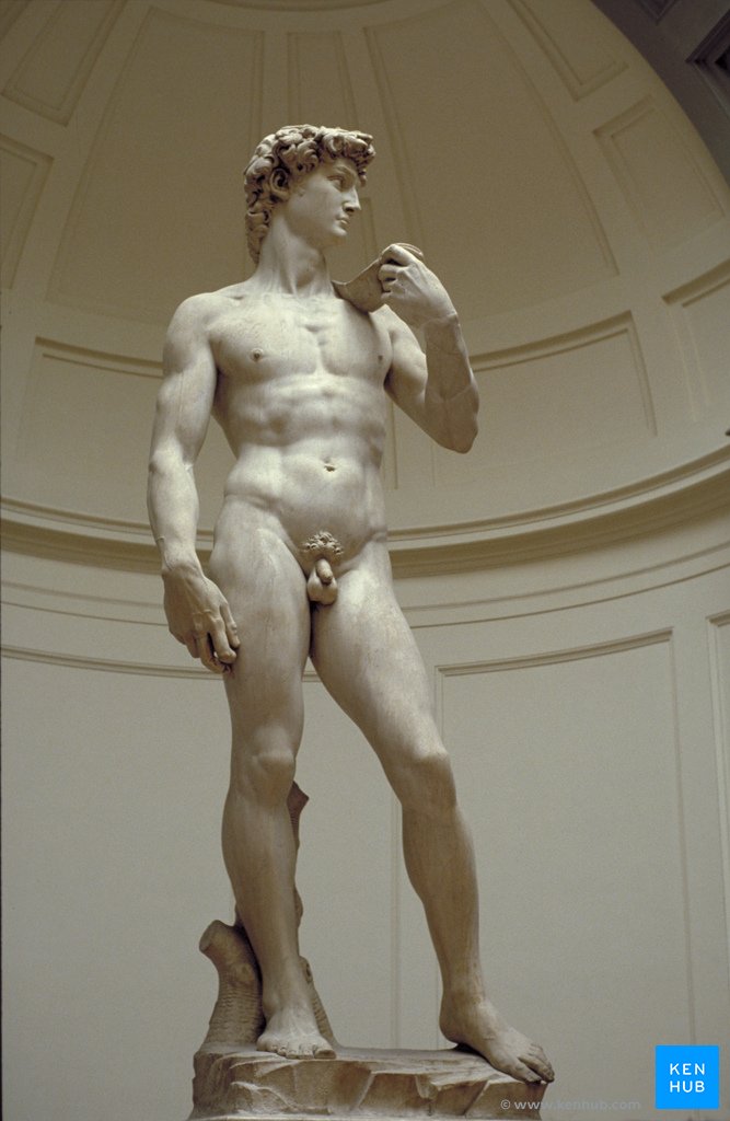 Statue of David