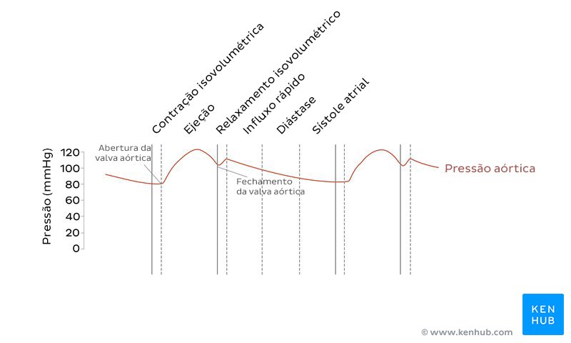 Curva de pressão aórtica do diagrama de Wiggers