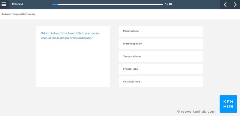 Kenhub Question Bank Quiz