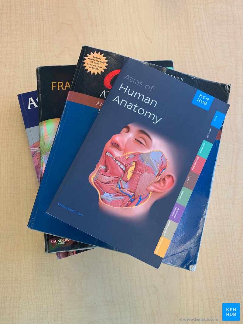 Stacked anatomy atlases: Kenhub's, Grant's, Gray's, Gilroy's