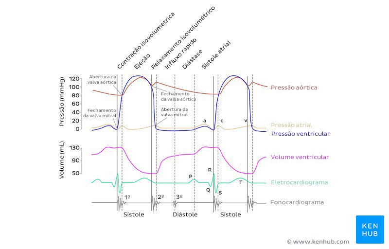 Diagrama de Wiggers