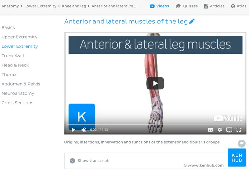 Kenhub - Muscles of the anterior compartment of the leg