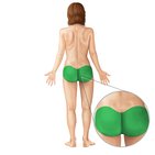 Gluteal region