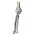 Elbow joint