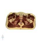 Quadratus femoris muscle level