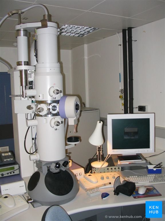 Electron microscope