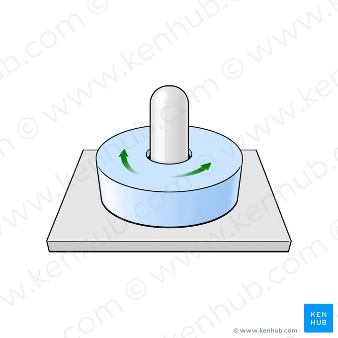 Articulação trocoide (Articulatio trochoidea); Imagem: Paul Kim