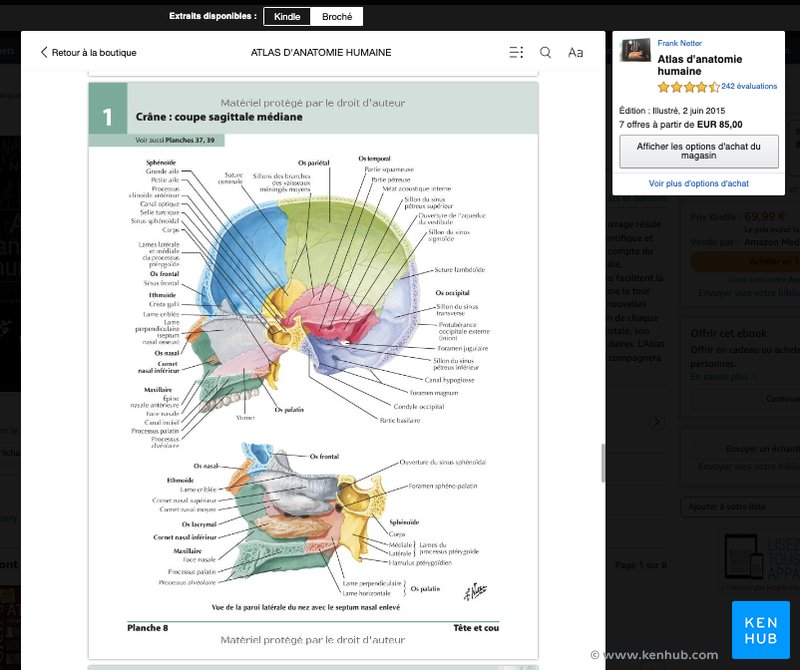 Échantillon de l'atlas de Netter sur Amazon : Crâne