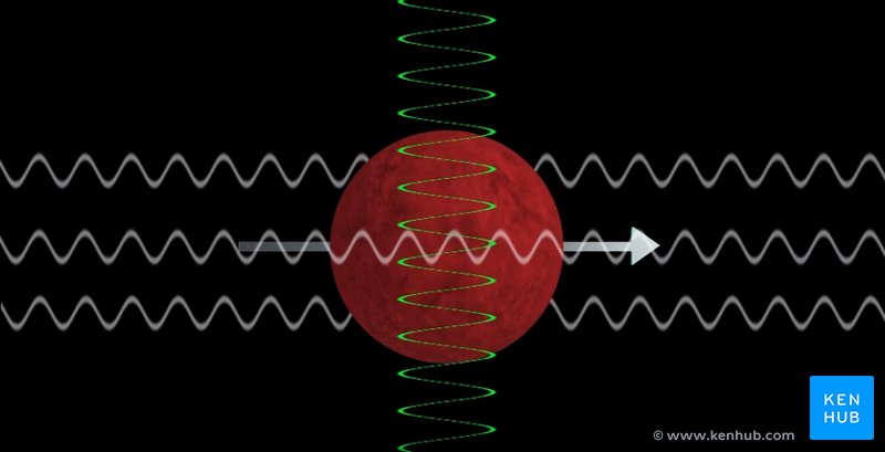 Le proton entame sa rotation et se réaligne avec le champ magnétique, cette fois-ci dans la direction opposée