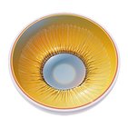 Lens and corpus ciliare