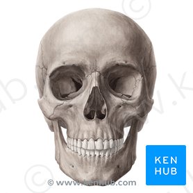 U9vf611if1hdam