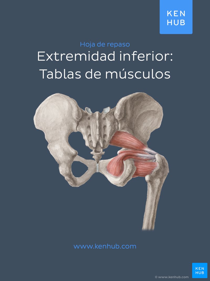 Extremidad inferior: Tablas de músculos