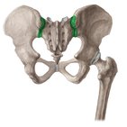 Articulación sacroilíaca