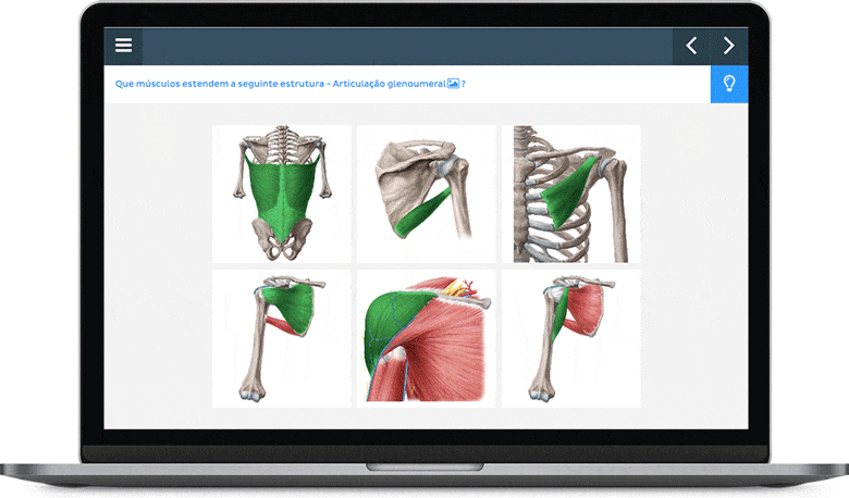 Jogos de anatomia online: aprenda enquanto se diverte!
