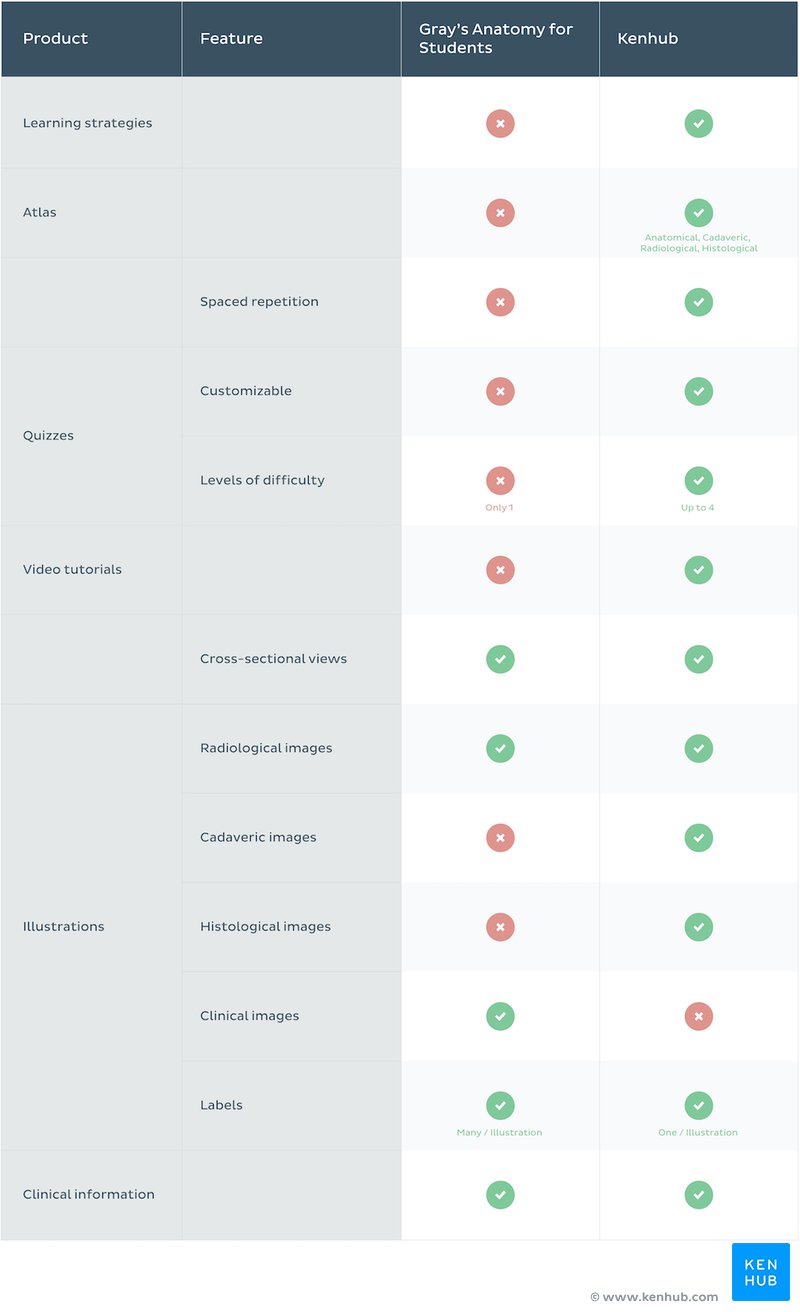 Gray's Anatomy for Students vs. Kenhub